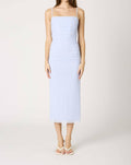 Cotton Candy La - Masha Boned Mesh Midi Dress