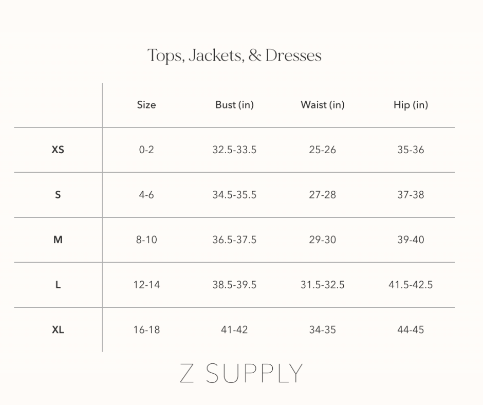 Z Supply - Eira Sequin Mini Dress